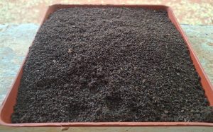 1. Vermicompost